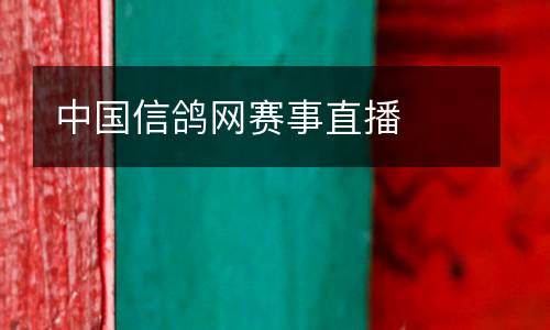 中國(guó)信鴿網(wǎng)賽事直播