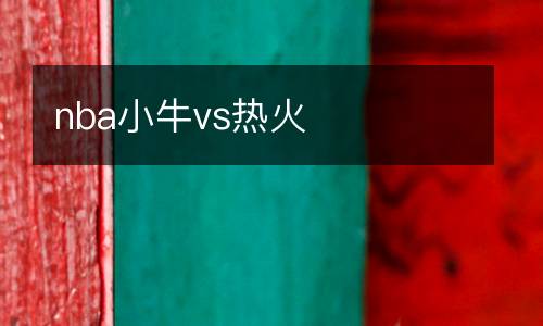 nba小牛vs熱火