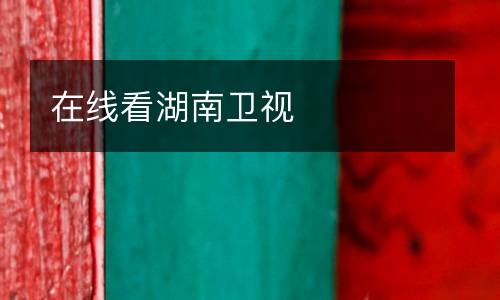 在線看湖南衛(wèi)視