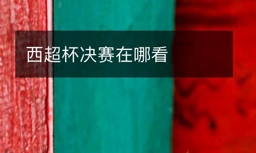 西超杯決賽在哪看