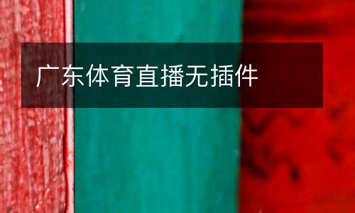 廣東體育直播無插件