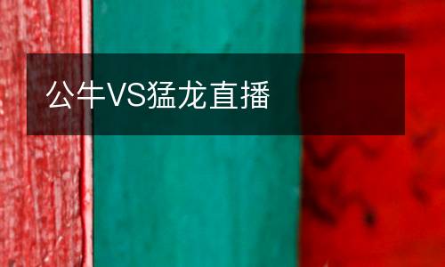 公牛VS猛龍直播