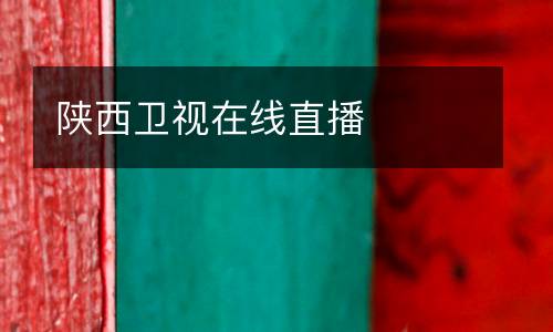 陜西衛(wèi)視在線直播