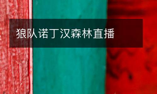 狼隊(duì)諾丁漢森林直播