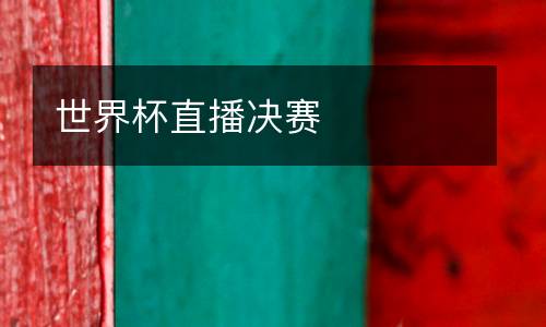 世界杯直播決賽