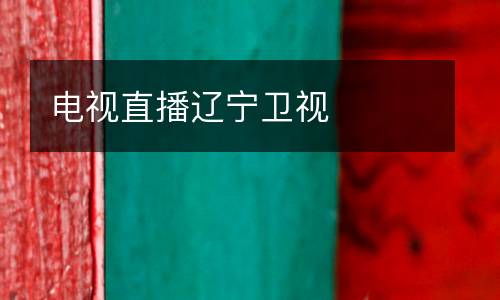 電視直播遼寧衛(wèi)視