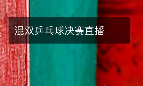 混雙乒乓球決賽直播