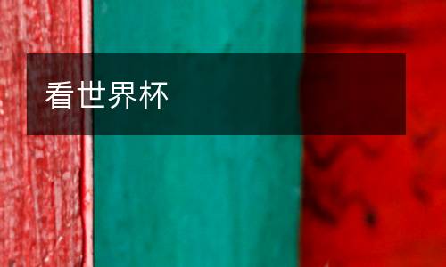 看世界杯