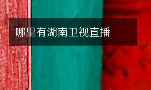 哪里有湖南衛(wèi)視直播