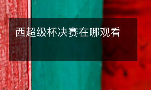 西超級(jí)杯決賽在哪觀看