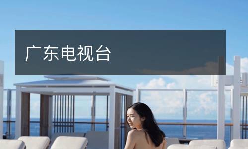 廣東電視臺(tái)
