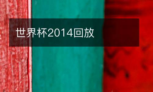 世界杯2014回放