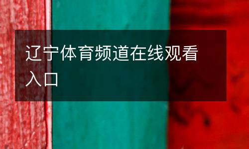 遼寧體育頻道在線觀看入口