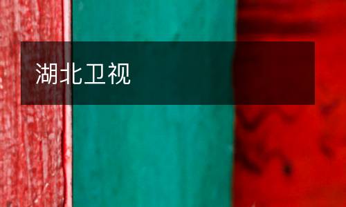 湖北衛(wèi)視